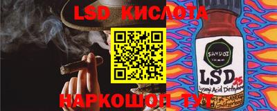 прущие грибы Кимры