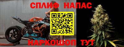 прущие грибы Кимры